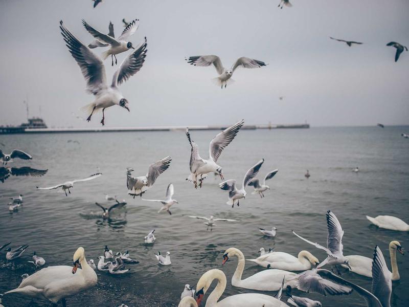 sudoku number placement screenshot 6