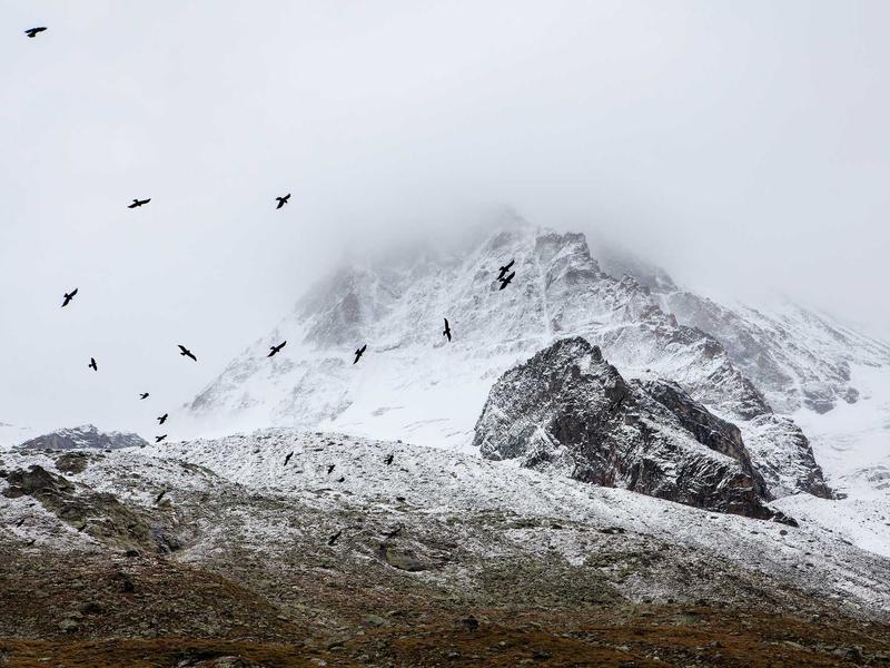 partners screenshot 2